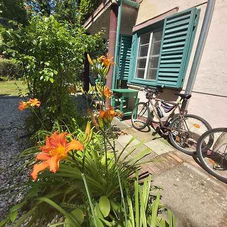 Garden Budha Relax Apartman, Parking, Bbq, Terrace Siófok Exteriör bild