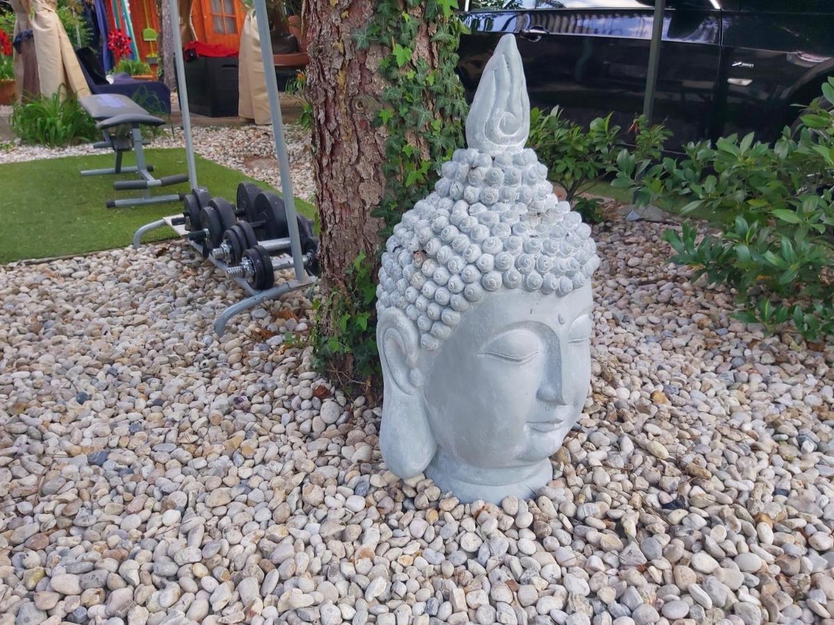 Garden Budha Relax Apartman, Parking, Bbq, Terrace Siófok Exteriör bild