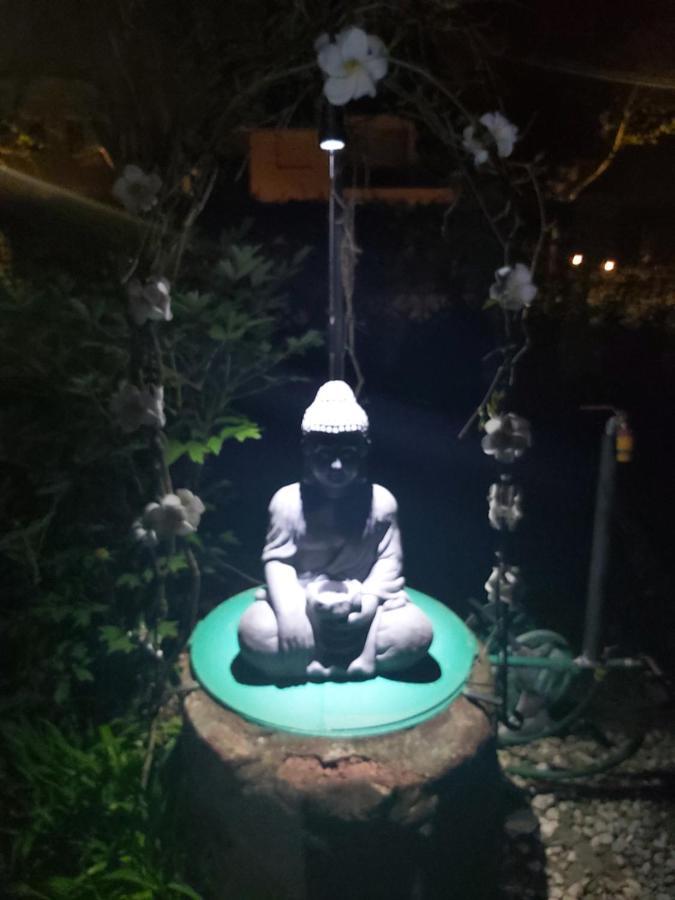 Garden Budha Relax Apartman, Parking, Bbq, Terrace Siófok Exteriör bild