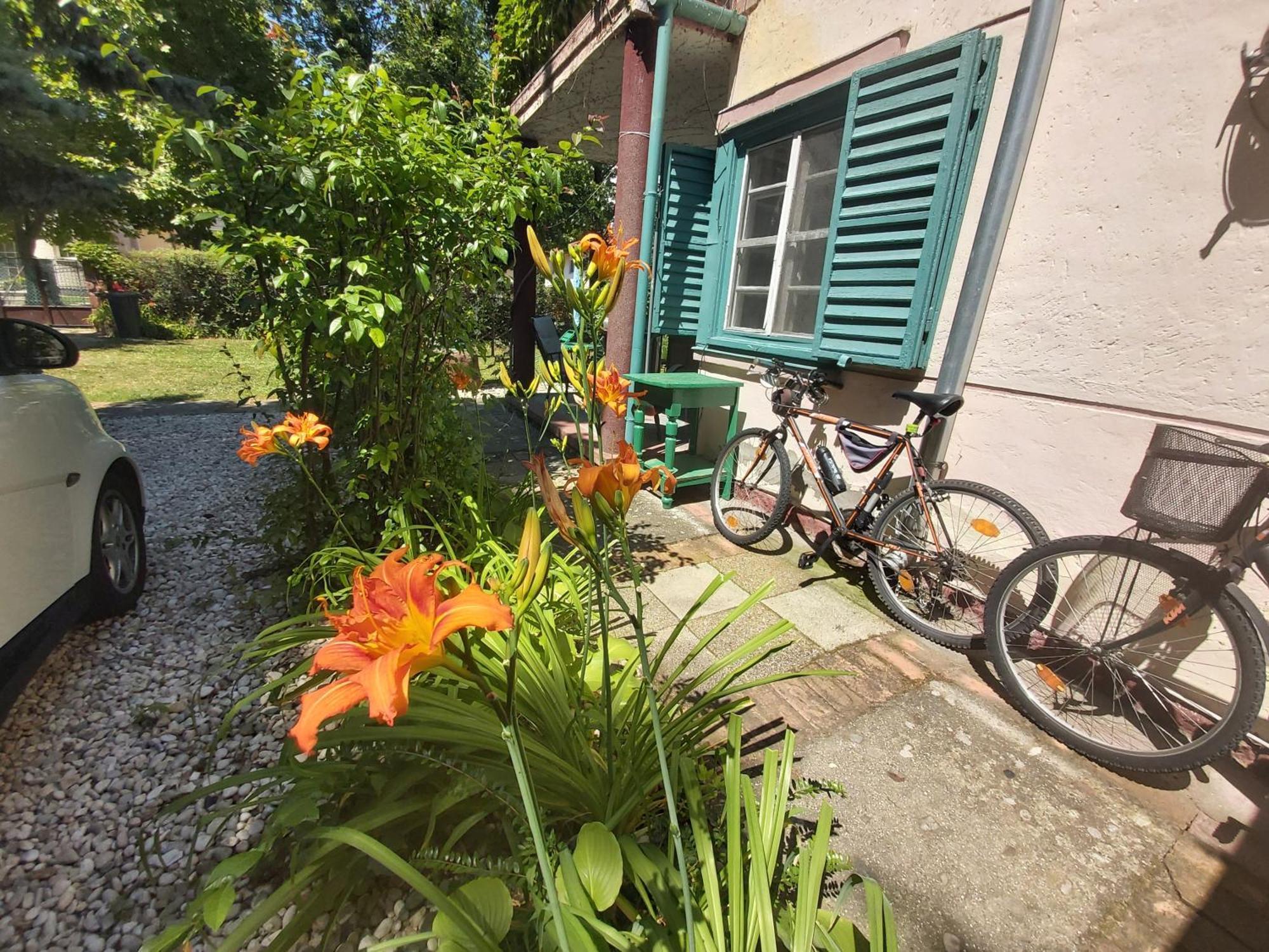 Garden Budha Relax Apartman, Parking, Bbq, Terrace Siófok Exteriör bild