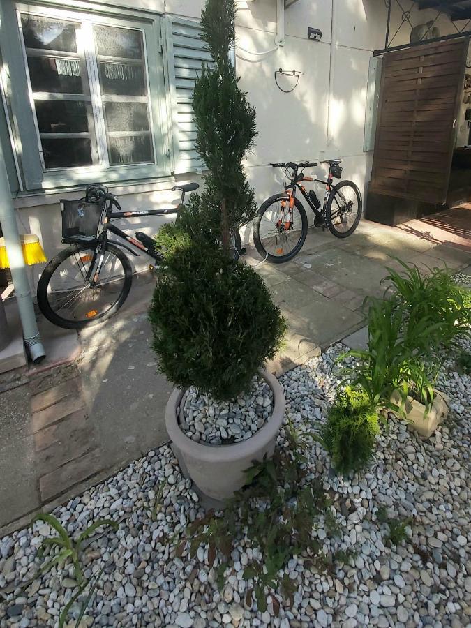 Garden Budha Relax Apartman, Parking, Bbq, Terrace Siófok Exteriör bild