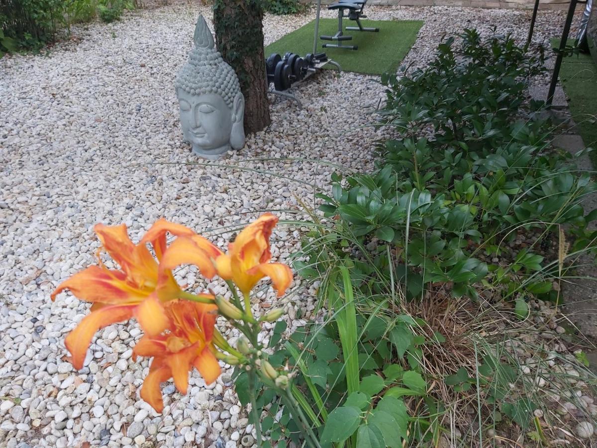 Garden Budha Relax Apartman, Parking, Bbq, Terrace Siófok Exteriör bild