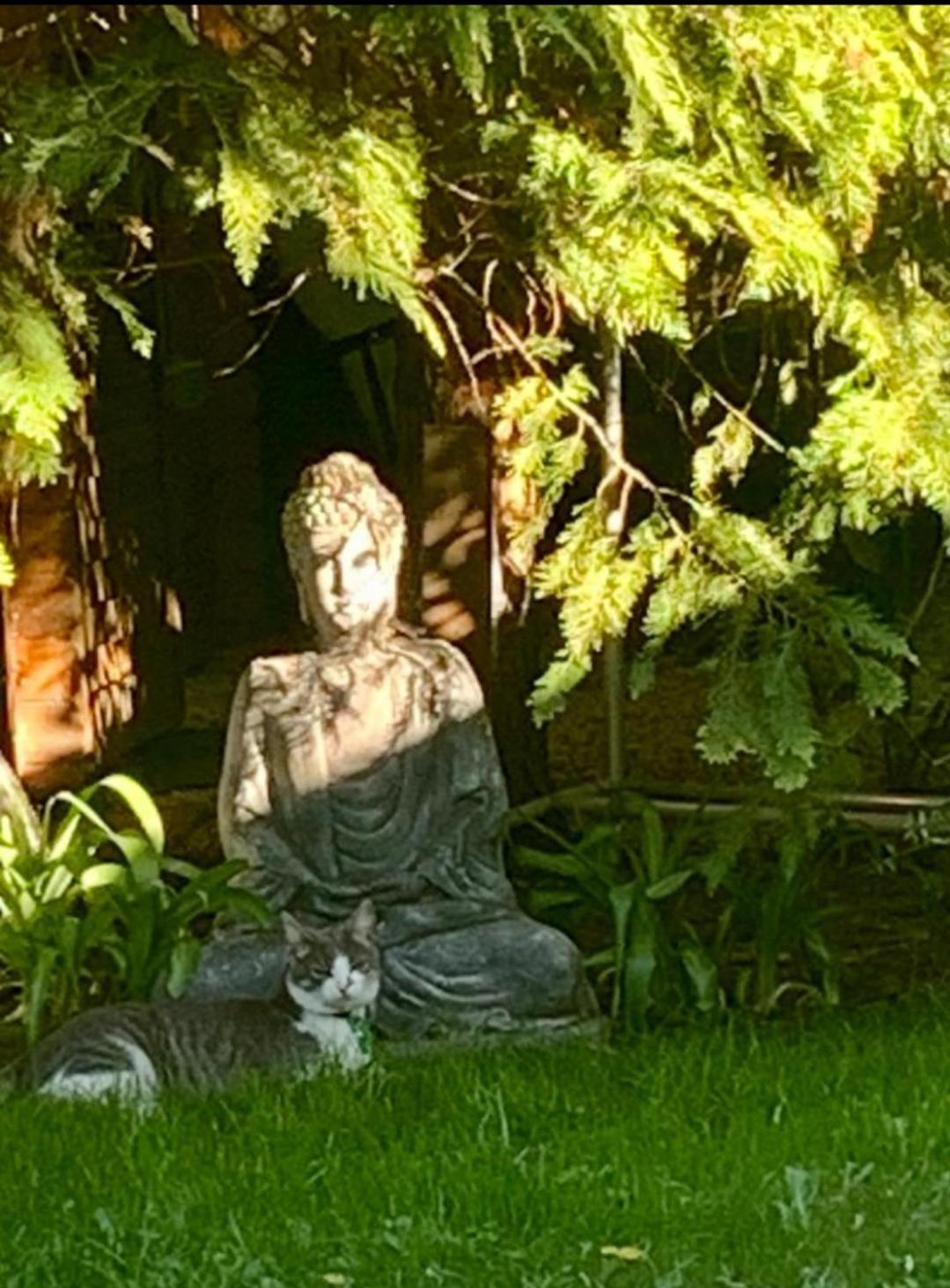 Garden Budha Relax Apartman, Parking, Bbq, Terrace Siófok Exteriör bild