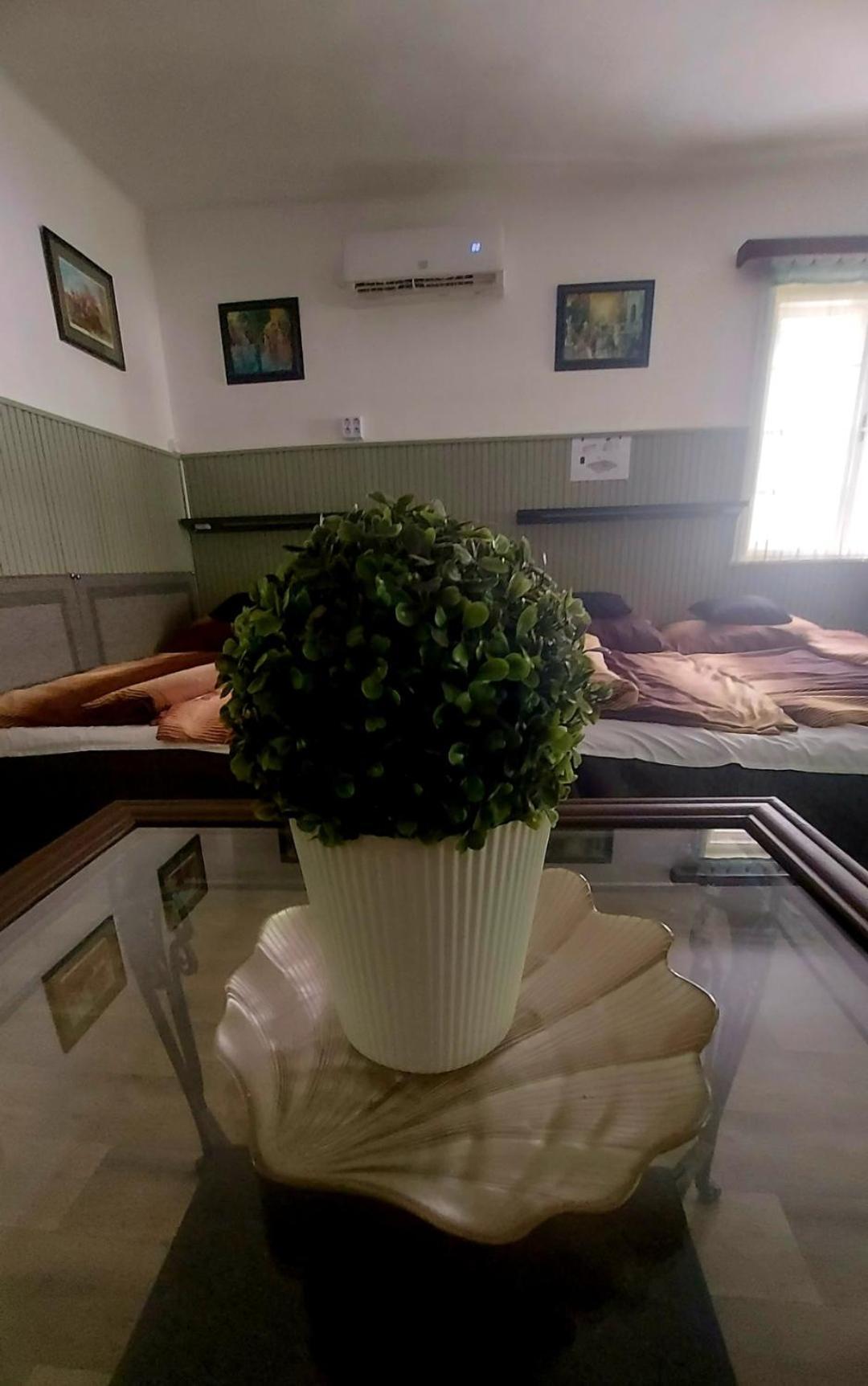 Garden Budha Relax Apartman, Parking, Bbq, Terrace Siófok Exteriör bild